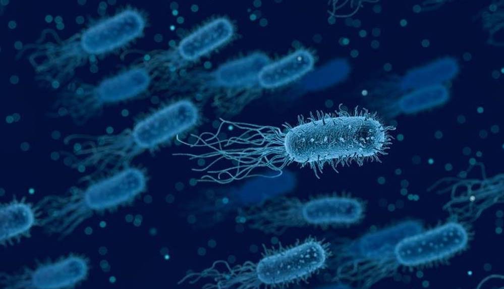 DSÖ: İnsan vücudunda antibiyotiklere karşı artan bakteri direnci, ölüm riskini artırıyor