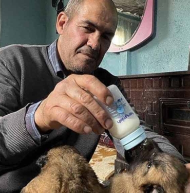 Donmak üzereyken bulduğu köpek yavrularını biberonla besliyor 8 Donmak-üzereyken-bulduğu-köpek-yavrularını-biberonla-besliyor-