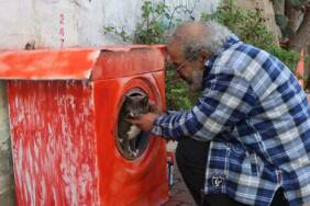 Hurda-çamaşır-makinesi-ve-atıklardan-'kedi-evi'-yapıyor-1