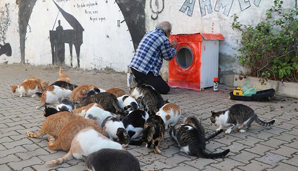 Hurda çamaşır makinesi ve atıklardan "kedi evi" yapıyor