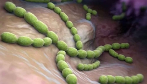 İngiltere'de 'Strep-A' bakterisi alarmı: En az 30 çocuk hayatını kaybetti