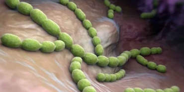 İngiltere'de-'Strep-A'-bakterisi-alarmı--En-az-30-çocuk-hayatını-kaybetti