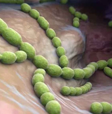 İngiltere'de-'Strep-A'-bakterisi-alarmı--En-az-30-çocuk-hayatını-kaybetti
