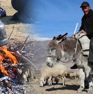 Odun ateşinde demlediği çayla ısınmaya çalışıyor: Erzincanlı çoban, sürüsünün peşinde yarım asır geçirdi 3 Odun-ateşinde-demlediği-çayla-ısınmaya-çalışıyor--Erzincanlı-çoban,-sürüsünün-peşinde-yarım-asır-geçirdi