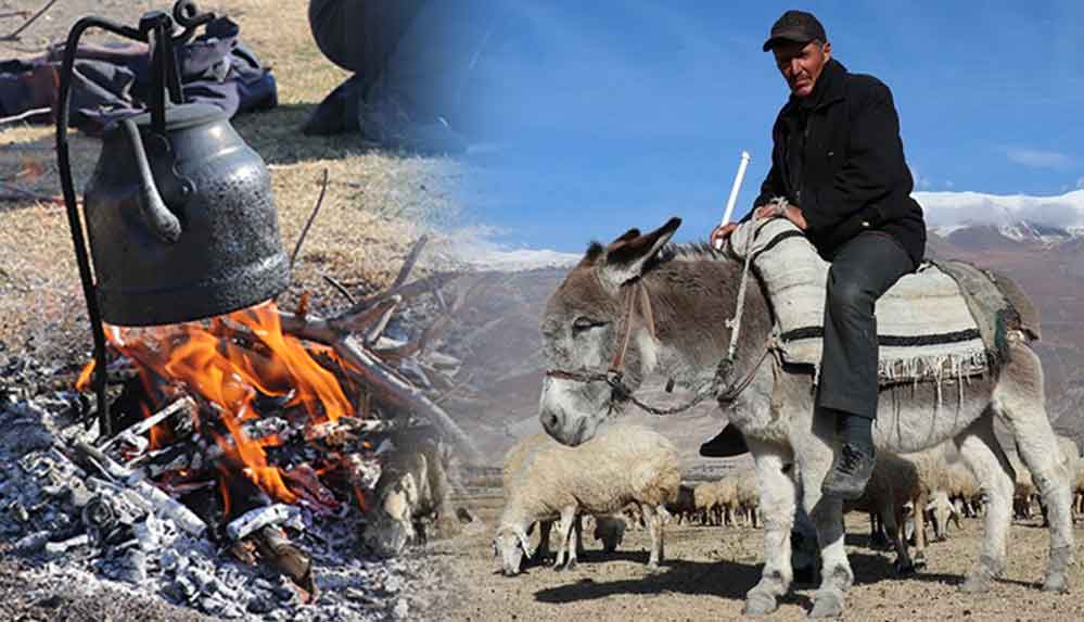 Odun ateşinde demlediği çayla ısınmaya çalışıyor: Erzincanlı çoban, sürüsünün peşinde yarım asır geçirdi