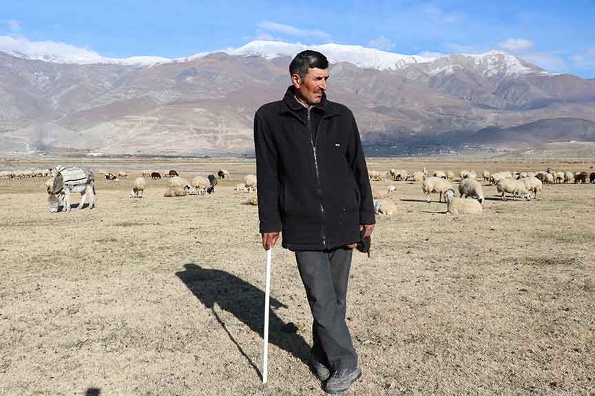 Odun ateşinde demlediği çayla ısınmaya çalışıyor: Erzincanlı çoban, sürüsünün peşinde yarım asır geçirdi