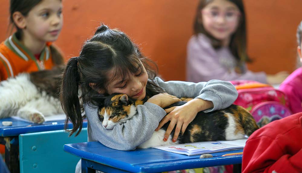 Okul tarafından sahiplenilen 30 kedi öğrencilerin derse motivasyonunu artırdı