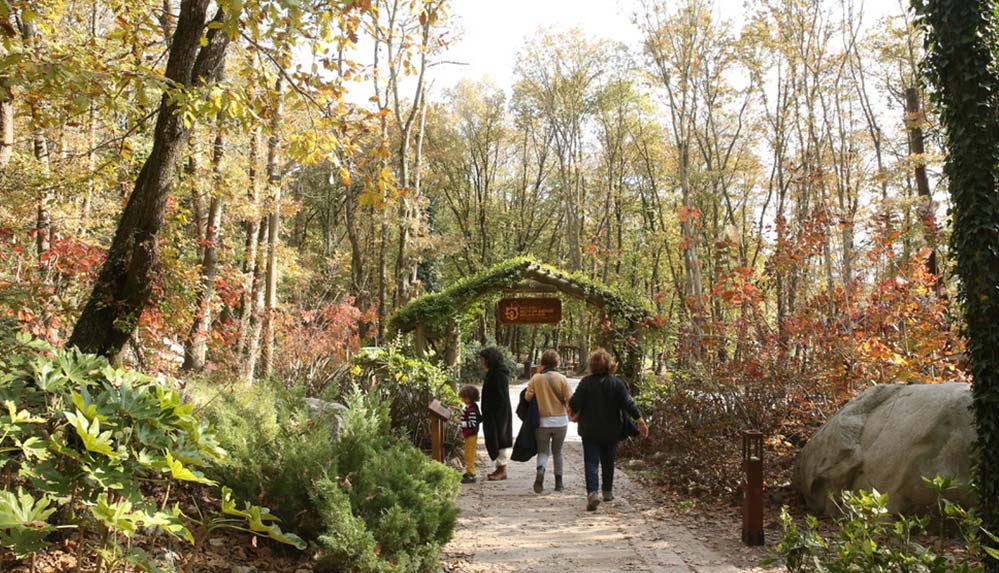 Ormanya'nın kamp alanı doğaseverlerin konaklama noktası oldu 6 Ormanya'nın kamp alanı doğaseverlerin konaklama noktası oldu