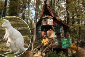 Ormanya'nın-kamp-alanı-doğaseverlerin-konaklama-noktası-oldu-4