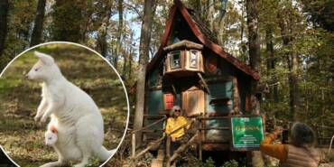 Ormanya'nın-kamp-alanı-doğaseverlerin-konaklama-noktası-oldu-4