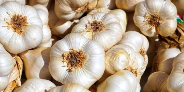 Sarımsakları-çürütmeden-aylarca-saklayabilirsiniz!-İşte-sarımsağın-tazeliğini-uzatacak-5-yöntem