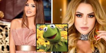 Seren-Serengil-Hadise'nin-makyajsız-pozlarını-'Kermit'e-benzetti
