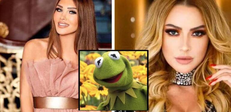 Seren-Serengil-Hadise'nin-makyajsız-pozlarını-'Kermit'e-benzetti