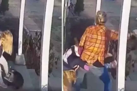 Sosyal medya bu videoyu konuşuyor! Kahraman anne, kızını vahşi rakun saldırısından böyle kurtardı 9 Sosyal-medya-bu-videoyu-konuşuyor!-Kahraman-anne,-kızını-vahşi-rakun-saldırısından-böyle-kurtardı