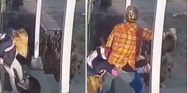 Sosyal-medya-bu-videoyu-konuşuyor!-Kahraman-anne,-kızını-vahşi-rakun-saldırısından-böyle-kurtardı