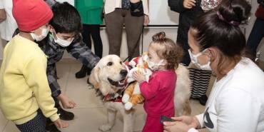 Terapi-köpeği-Molly'den-kanser-tedavisi-gören-çocuklara-moral-ziyareti