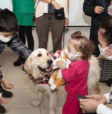 Terapi köpeği Molly'den kanser tedavisi gören çocuklara moral ziyareti 5 Terapi-köpeği-Molly'den-kanser-tedavisi-gören-çocuklara-moral-ziyareti