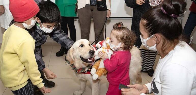 Terapi köpeği Molly’den kanser tedavisi gören çocuklara moral ziyareti