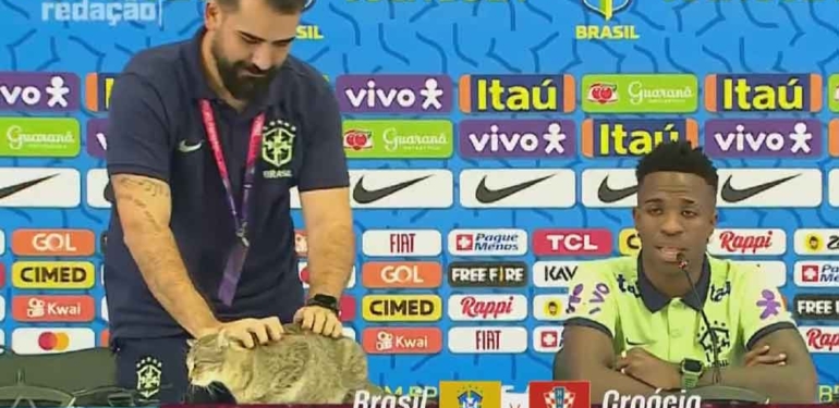 Dünya Kupası’ndaki kedi skandalı nedeniyle Brezilya’ya dava