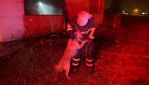 Yangından kurtarılan köpek itfaiye personelinin üzerine atlayarak sevgi gösterisinde bulundu