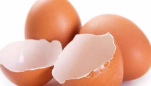 Yumurta kabuğunu çöpe atmayın! Faydaları saymakla bitmiyor, her derde deva