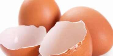 Yumurta-kabuğunu-çöpe-atmayın!-Faydaları-saymakla-bitmiyor,-her-derde-deva