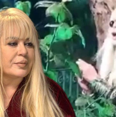 Zerrin Özer mezarlıkta şarkı söyledi, sosyal medyada tepki yağdı 9 Zerrin-Özer-mezarlıkta-şarkı-söyledi,-sosyal-medyada-tepki-yağdı