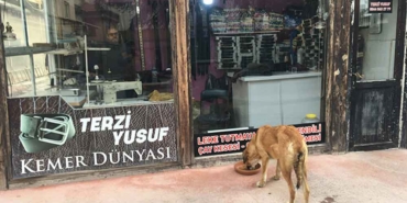 Afyonkarahisarlı-terzi-yıllardır-sahipsiz-hayvanları-besliyor--Onlar-Allah'ın-sessiz-emanetleri-