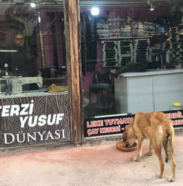 Afyonkarahisarlı terzi yıllardır sahipsiz hayvanları besliyor: Onlar Allah'ın sessiz emanetleri 10 Afyonkarahisarlı-terzi-yıllardır-sahipsiz-hayvanları-besliyor--Onlar-Allah'ın-sessiz-emanetleri-