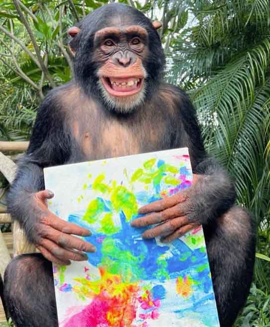 Bebekliğinde annesi tarafından terk edilen şempanze Limbani'nin tabloları satışa çıktı
