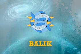 Burc-yorumu-balık