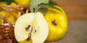 Cildi-gençleştiriyor,-öksürüğü-kesiyor!-Ayva-çekirdeğini-sakın-çöpe-atmayın