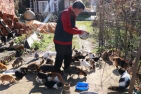 Çocuğu-gibi-gördüğü-50'den-fazla-kedi-için-köyünden-ayrılmıyor