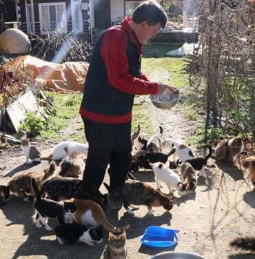 Çocuğu gibi gördüğü 50'den fazla kedi için köyünden ayrılmıyor 7 Çocuğu-gibi-gördüğü-50'den-fazla-kedi-için-köyünden-ayrılmıyor
