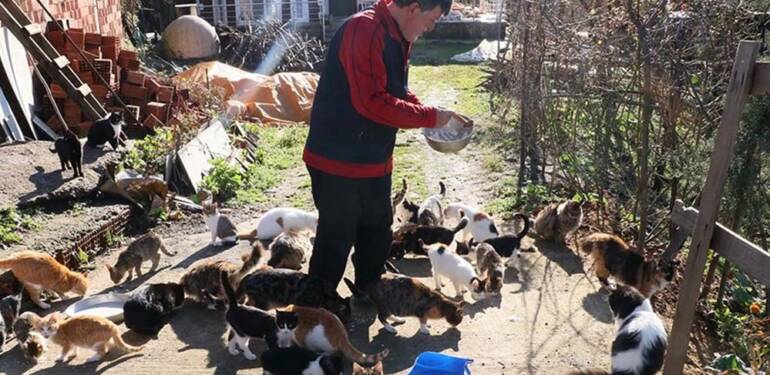 Çocuğu gibi gördüğü 50’den fazla kedi için köyünden ayrılmıyor