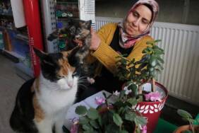 Depremde-yaralı-halde-iş-yerine-sığınan-kedi-'Mestan'a-3-yıldır-sevgiyle-bakıyor