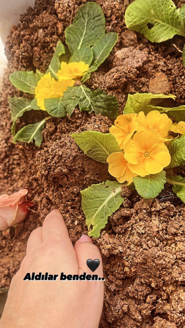 Elif Karlı, cezaevinde ölen eşinin mezarını paylaştı: Aldılar benden