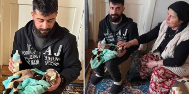 Erken-doğan-kuzuyu-yaşatmak-için-evine-götürdü--Biberonla-besliyorlar