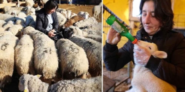 İstanbul’dan-kaçıp-memleketine-gitti,-çiftlik-sahibi-oldu-