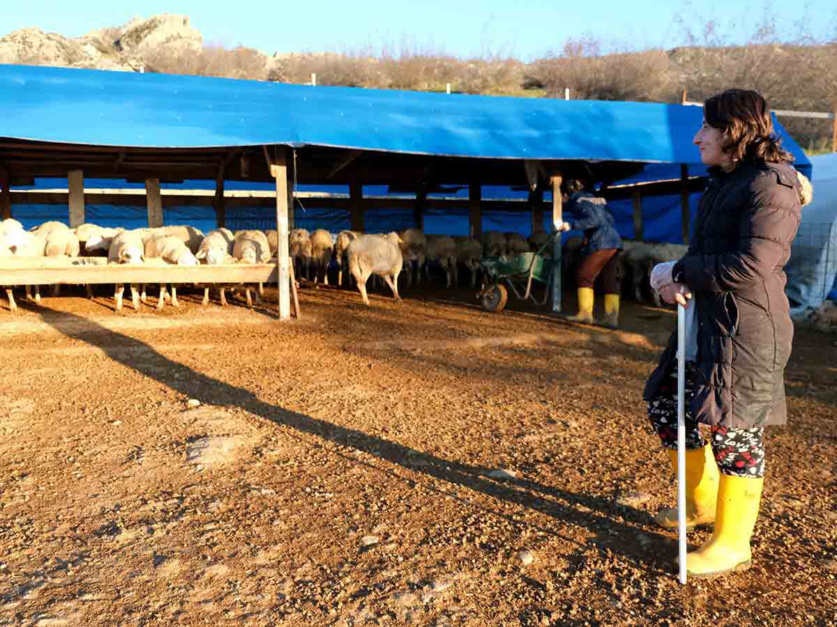 İstanbul’dan kaçıp memleketine gitti, çiftlik sahibi oldu