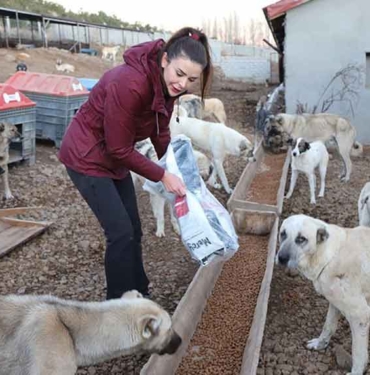 Kars’ta kullanılamayan ahır sahipsiz hayvanlara yuva oldu 10 Kars’ta-kullanılamayan-ahır-sahipsiz-hayvanlara-yuva-oldu