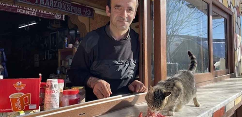 Kediler soğuktan donmasın diye her gün soba yakıyor 1 Kediler-soğuktan-donmasın-diye-her-gün-soba-yakıyor-