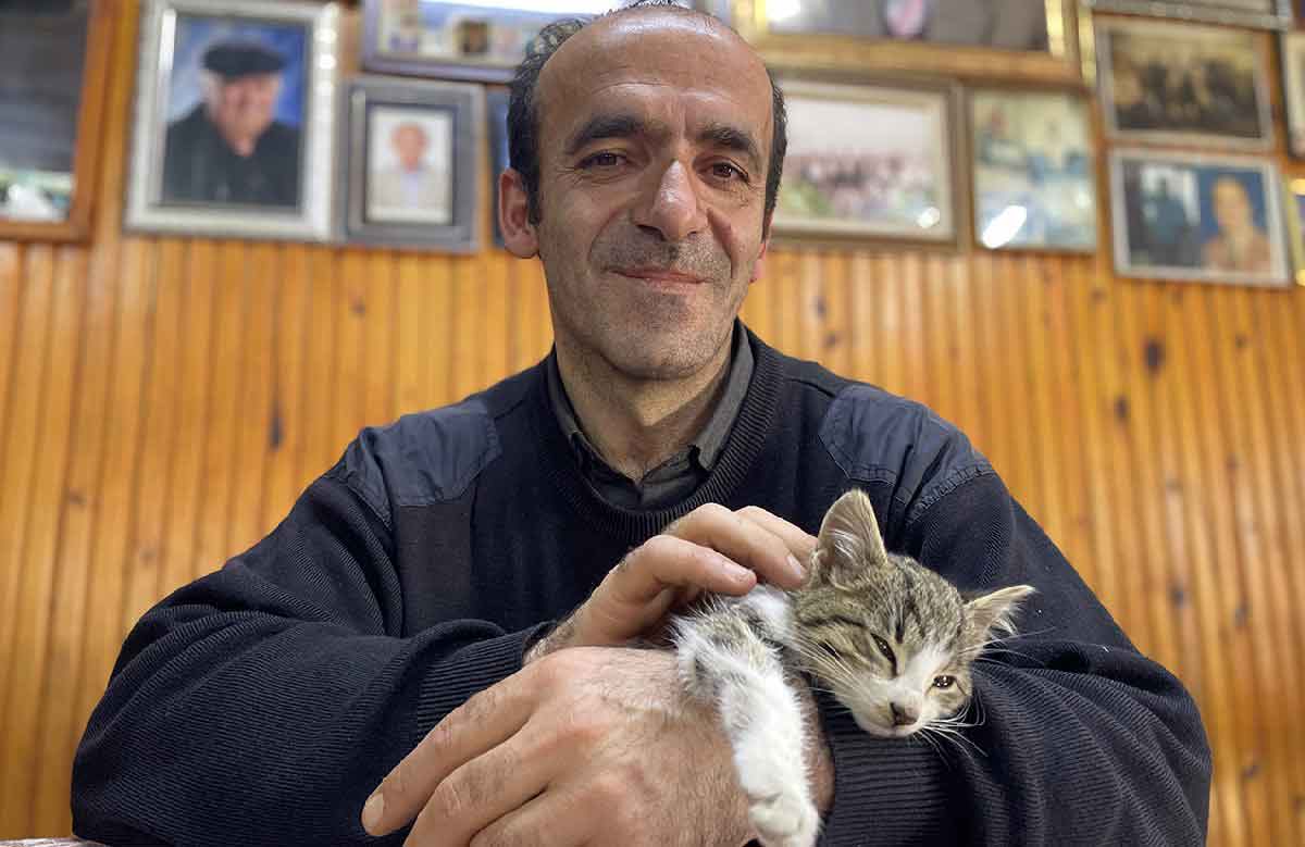 Kediler soğuktan donmasın diye her gün soba yakıyor 4 Kediler soğuktan donmasın diye her gün soba yakıyor