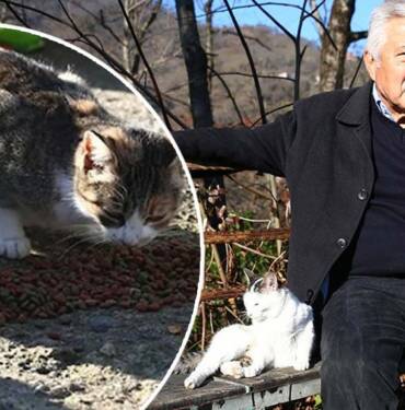 Kışın-yiyecek-bulamayan-sahipsiz-hayvanlar-için-köye-mama-taşıyor--'Ömrüm-yettiğince-bakacağım'-3