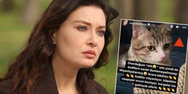 Nurgül-Yeşilçay--'Oturduğum-'elit'-site-şimdi-de-kedilere-sardı.-‘Beslemeyelim’miş!