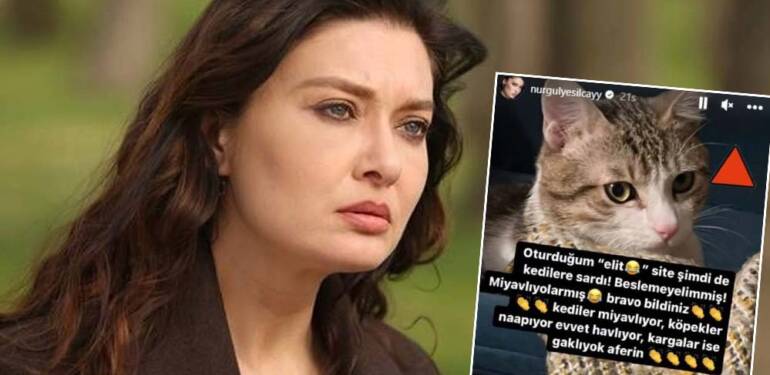 Nurgül Yeşilçay’dan komşularına sert tepki: “Oturduğum ‘elit’ site şimdi de kedilere sardı. ‘Beslemeyelim’miş!