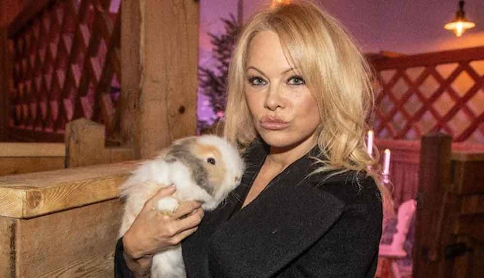 Ünlü oyuncu Pamela Anderson’dan yıllar sonra gelen cinsel taciz itirafı! “Önünü açtı ve altı tamamen çıplakken…”