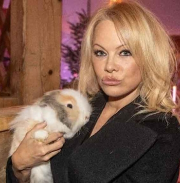 Ünlü oyuncu Pamela Anderson’dan yıllar sonra gelen cinsel taciz itirafı! “Önünü açtı ve altı tamamen çıplakken…” 4 Ünlü-oyuncu-Pamela-Anderson’dan-yıllar-sonra-gelen-cinsel-taciz-itirafı!-“Önünü-açtı-ve-altı-tamamen-çıplakken…”