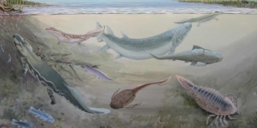 360-milyon-yıl-önce-yaşamış-dev-balık-keşfedildi--İnsanların-atalarını-avlamış-olabilir-