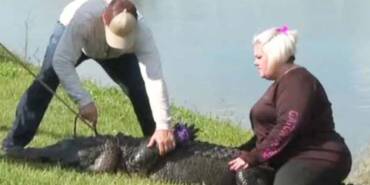 ABD'de-85-yaşındaki-kadın-timsah-saldırısında-öldü